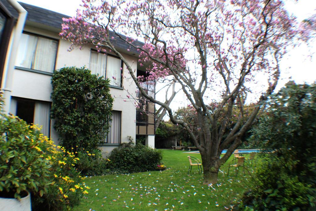 Hotel Terrabella Talca  Dış mekan fotoğraf