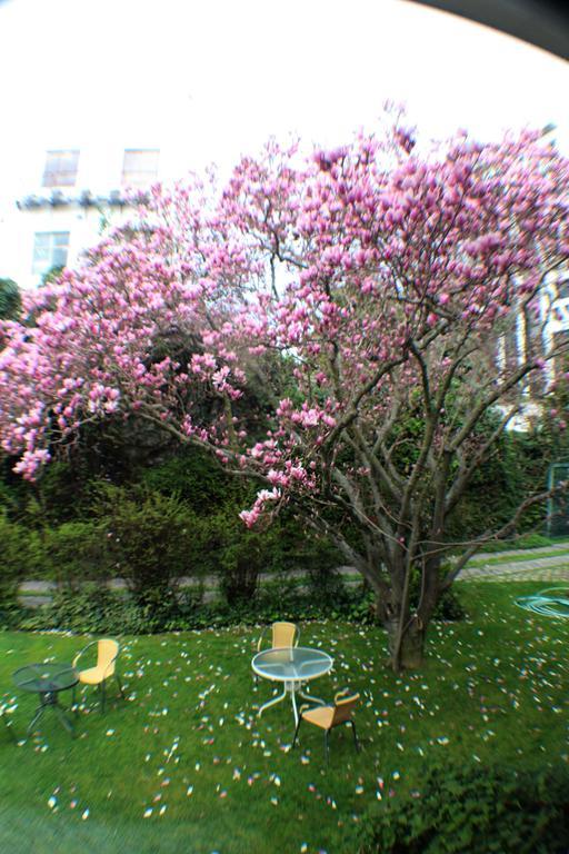 Hotel Terrabella Talca  Dış mekan fotoğraf